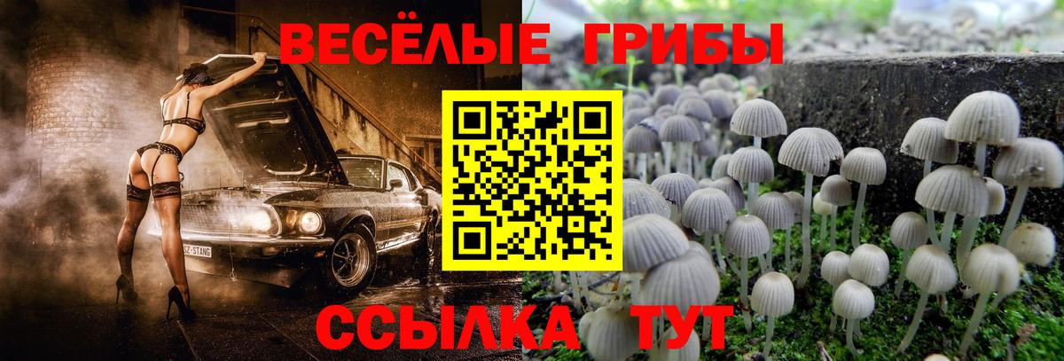 Чебоксары  Псилоцибиновые грибы Psilocybine cubensis  Галлюциногенные грибы GOLDEN TEACHER  Вход с VPN 