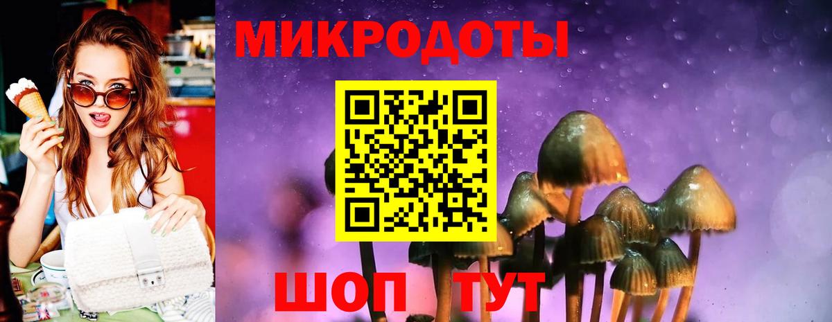 Псилоцибиновые грибы мицелий Чебоксары